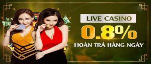 Hoàn Trả Cược TYPHU88 - Bí Quyết Không Thể Bỏ Qua!