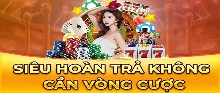 Hoàn Trả Cược TYPHU88 - Bí Quyết Không Thể Bỏ Qua!